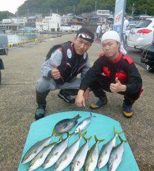 ヒラバエ 　カゴ釣りでハマチ狙えます