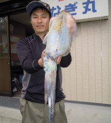 湯浅の磯　ヤエンでアオリイカ最大6パイ
