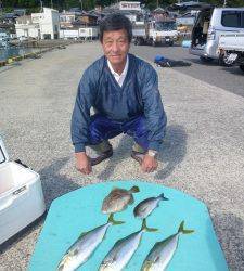 神谷一文字、ヒラバエでハマチのほかグレ・カワハギなど