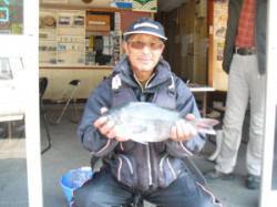 有田　キハチ磯にてグレ41.5cm！