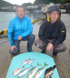 神谷一文字のカゴ釣り釣果　ハマチ・スマガツオ・グレなど