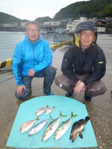 神谷一文字のカゴ釣り釣果　ハマチ・スマガツオ・グレなど