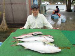 田井の釣り堀でメジロ・シマアジ・マダイ