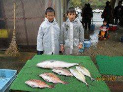 田井の釣り堀でメジロ・シマアジ・マダイ