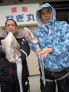 湯浅の磯　ヤエンでアオリイカ胴長28cm