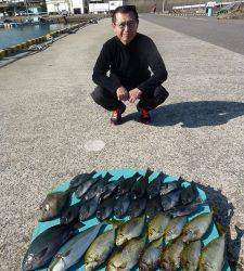 神谷一文字、ヒラバエでのカゴ釣り釣果　アイゴ・グレ・ハマチなど