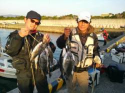 湯浅一文字、広一文字でチヌ、グレ釣れました…