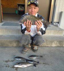 湯浅一文字、広一文字でチヌ、グレ釣れました