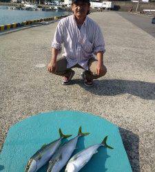 ヒラバエでのカゴ釣り釣果　ハマチ・アイゴ・イサギ