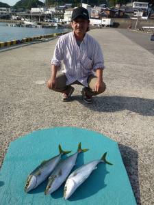 ヒラバエでのカゴ釣り釣果　ハマチ・アイゴ・イサギ