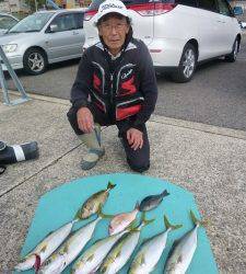 神谷一文字　カゴ釣りでハマチ6本　ほかグレ・アイゴなど