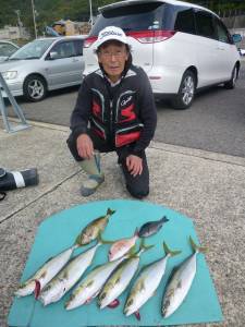 神谷一文字　カゴ釣りでハマチ6本　ほかグレ…