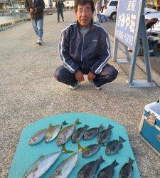 神谷一文字　カゴ釣りでハマチ6本　ほかグレ・アイゴなど