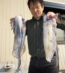 湯浅の磯 アオリイカ ヤエンでキロクラス出ました!