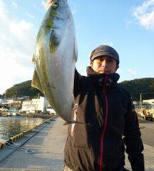 神谷一文字　カゴ釣りでハマチ・カワハギなど　ノマセではメジロも