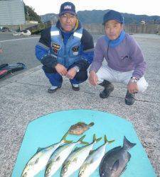 ヒラバエのカゴ釣りでグレ40cmなど☆　神谷崎ではフカセでコロダイ