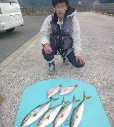 神谷一文字でハマチ・小ダイ　ヒラバエでグレ・ハマチ・ウマヅラなど