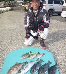 神谷一文字でハマチ・小ダイ　ヒラバエでグレ・ハマチ・ウマヅラなど