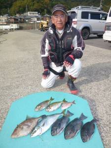 神谷一文字でハマチ・小ダイ　ヒラバエでグレ・ハマチ・ウマヅラなど