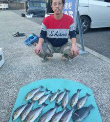 ヒラバエにてグレ・イサギ・ハマチ・アイゴ・カワハギ