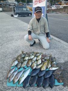 ヒラバエにてグレ・イサギ・ハマチ・アイゴ・…