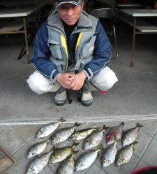 有田の磯　フカセ釣りでアイゴ＆ウマヅラ