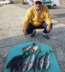 一文字でカゴ釣り　ハマチ・グレをはじめ色々つれています