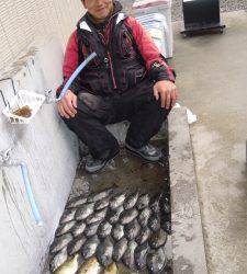 湯浅の地磯　フカセで小グレ大漁、エギングではアオリイカとコウイカも