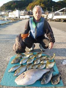 ヒラバエでアイゴ・グレ・カワハギ・ウスバハ…