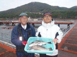 須磨海釣り公園　フカセ仕掛けにチヌ45cm2尾