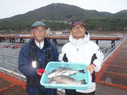 須磨海釣り公園　フカセ仕掛けにチヌ45cm…