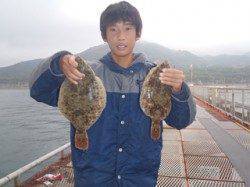 須磨海釣り公園　投げ釣りでカレイの釣果出てます☆