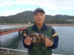 須磨海づり公園　ハゲ掛け仕掛けで良型のウマ…