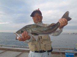 須磨海づり公園　ウキ流し釣りでスズキ75cm！