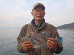 神戸市立須磨海づり公園　ハゲ掛けでウマヅラハギ38cm