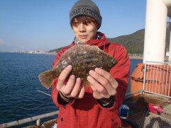 須磨海づり公園　投げでカレイの釣果