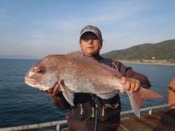 須磨海づり公園　連日良型マダイが釣れていま…