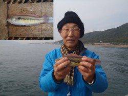 須磨海づり公園　オキアミを餌に良型のベラをキャッチ