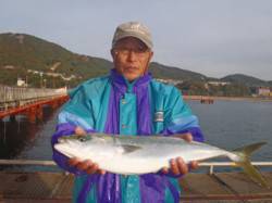 須磨海づり公園　ウキ流し釣りでメジロ60c…