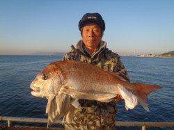 須磨海づり公園　ウキ流し釣りでマダイ70.9cm