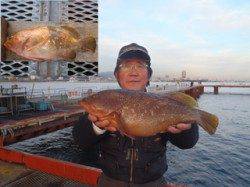 須磨海づり公園　記録賞サイズのアコウ45.6cm☆