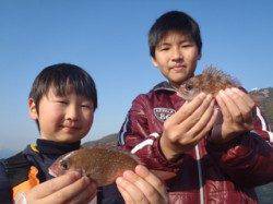 須磨海釣り公園　小型ながらもサビキにマダイ