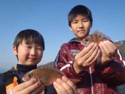 須磨海釣り公園　小型ながらもサビキにマダイ…