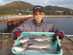【27日】須磨海づり公園　シラサで良型ハネ3本の釣果