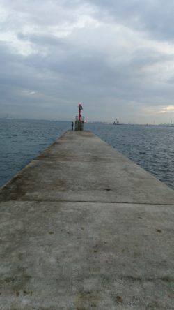 汐見埠頭　サビキのアジ釣りは20cm以上は…