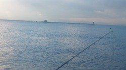 兵庫突堤　狙いのタチウオは不発、ほかサビキでガシラなど