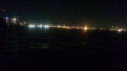 兵庫突堤　カゴ天秤仕掛けでガシラ・アジ、投げでアイゴの釣果