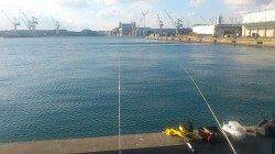 兵庫突堤西向き　青イソメにマハゼ・キス・メバル、サビキに良型アジ