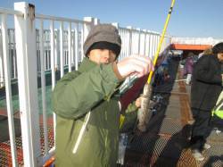 尼崎魚つり公園　好調だったエビ撒き一転渋い…