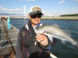 尼崎魚つり公園　好調だったエビ撒き一転渋い状況　ほか大きなハゼの釣果も
